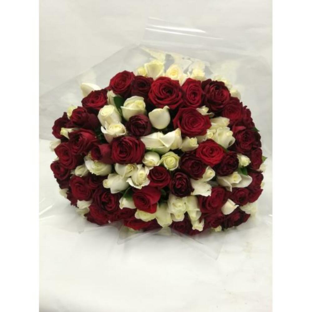 Букет из 75 красных и белых роз, длина 60см