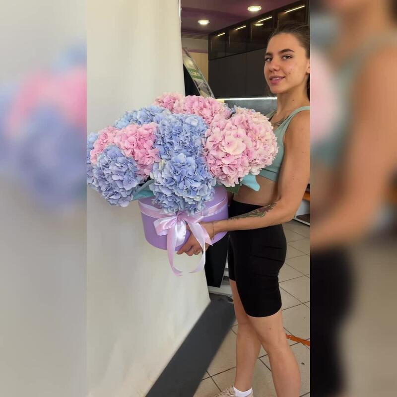 Гортензия, 21 штучка. Большой букет в коробке