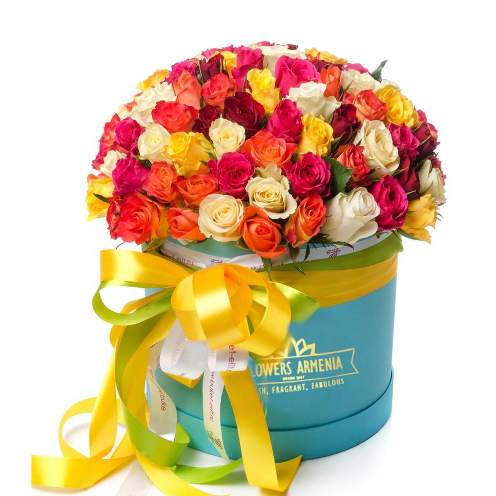 Bright Color Combination