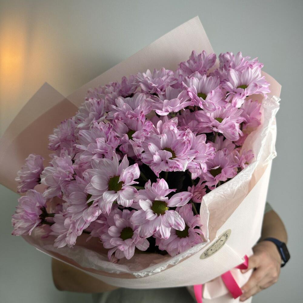 Розовые Хризантемы