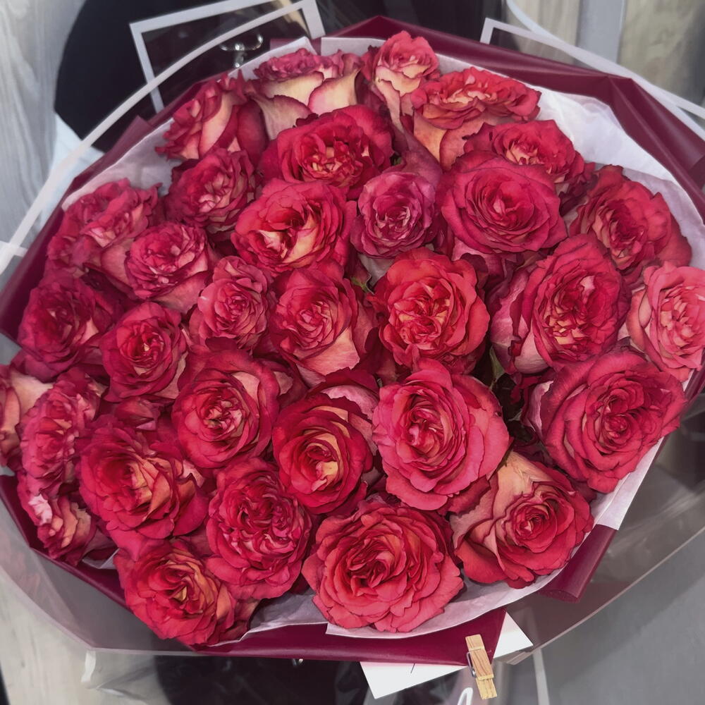 Букет из 33 роз Игуазу