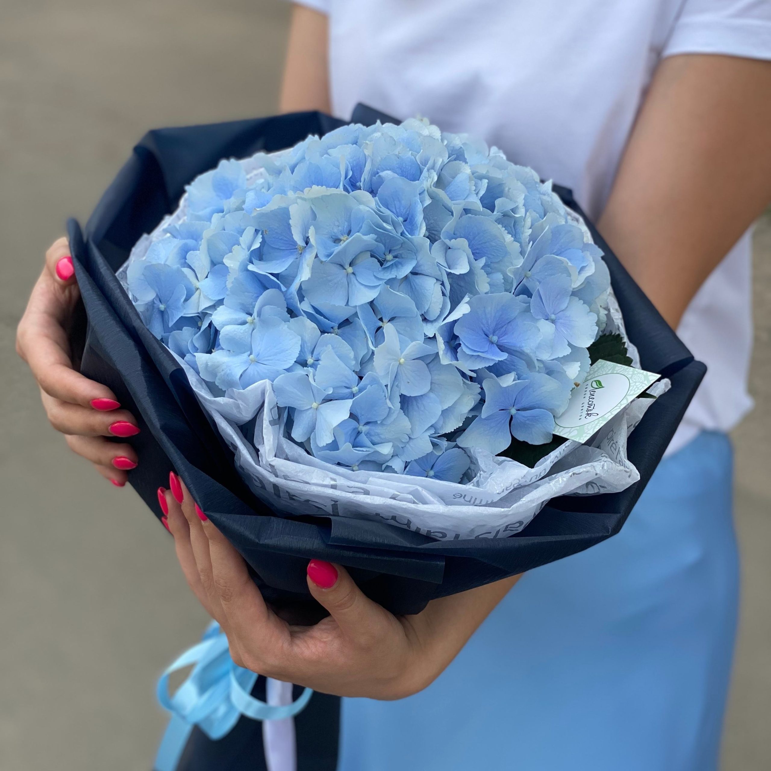 d1af5903-427e-4d41-ad3a-acd38770183d